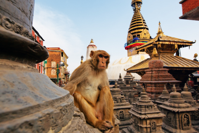 Swayambhunath templet