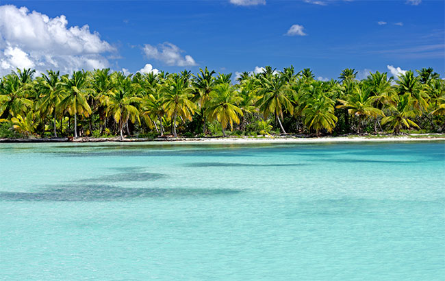 Saona Tropical Beach Dominican Republic Caribbean