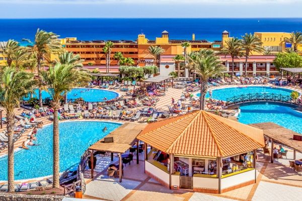 All inclusive på Fuerteventura Poolområde med palmer - rejse til Fuerteventura, all inclusive på Fuerteventura