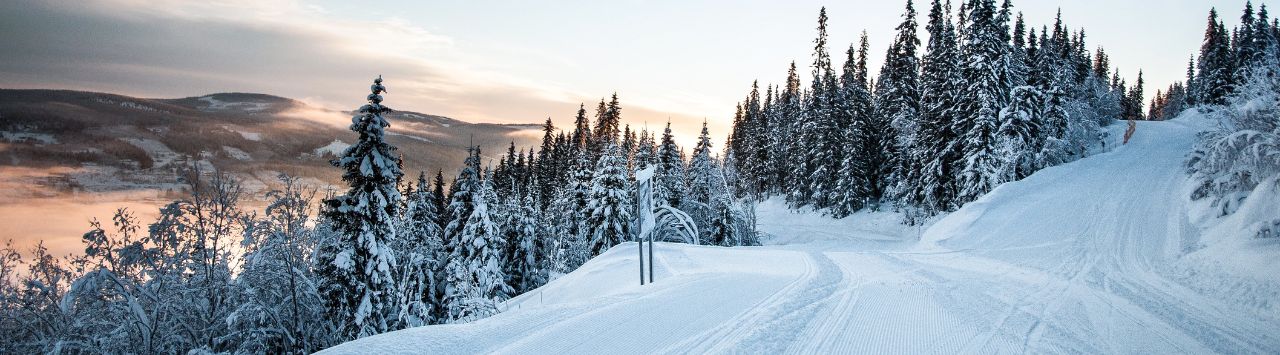 Billige fly til skiferien: Flybilletter til Sälen og Trysil fra kun 853 kr. tur/retur