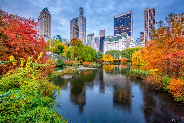 Fly til New York - Central Park