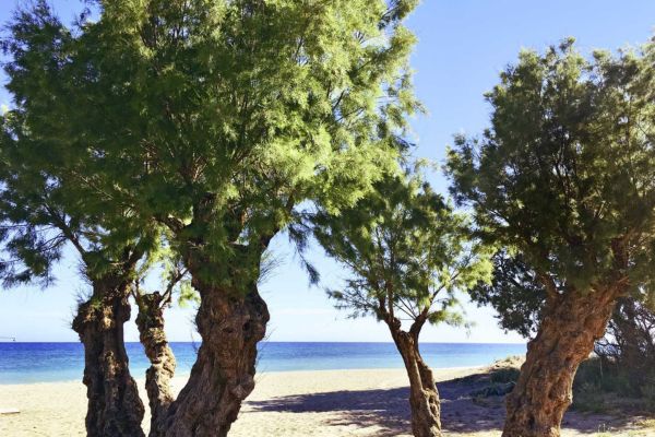 Billig rejse til Kreta Rejse til Kreta - strandudsigt