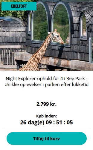 Ophold I Ree Park Familietur For 4 Personer Fra 700 P p ophold-i-ree-park-familietur-for-4-personer-fra-700-p-p