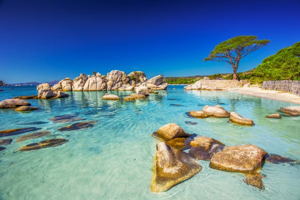 Palombaggia Beach, Korsika