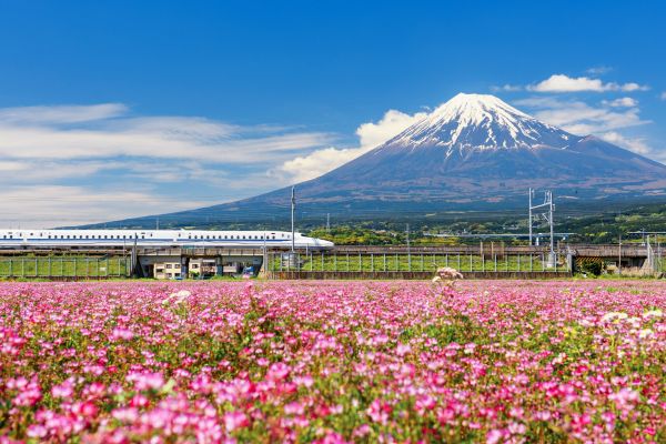 Shinkansen med Mount Fuji i baggrunden