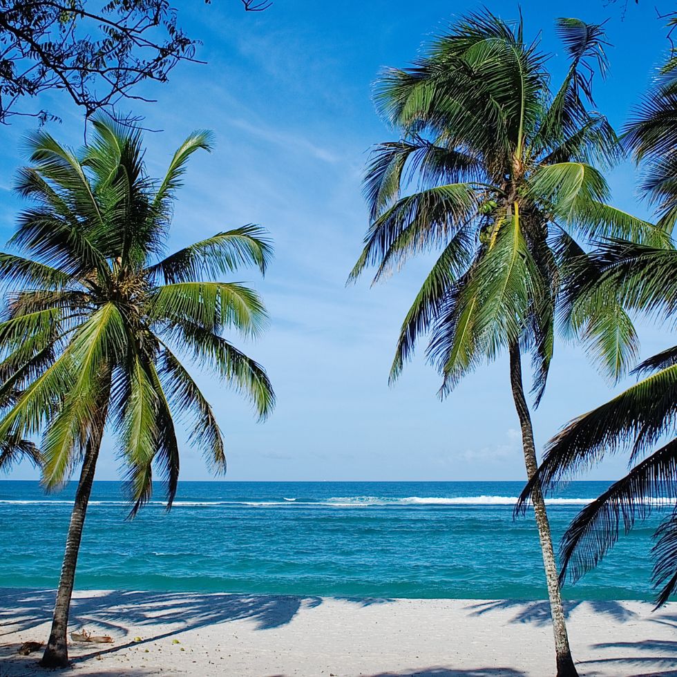 Tiwi-beach-Mombasa-Kenya-banner-980-x-980