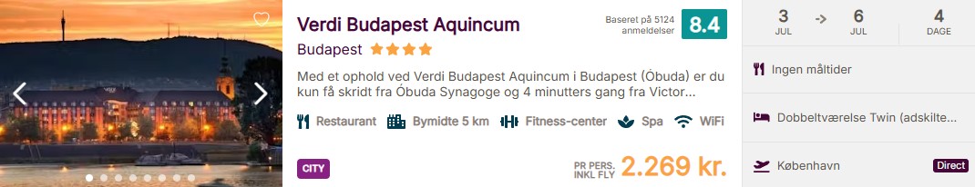 CPH-BUD-BOOK-1