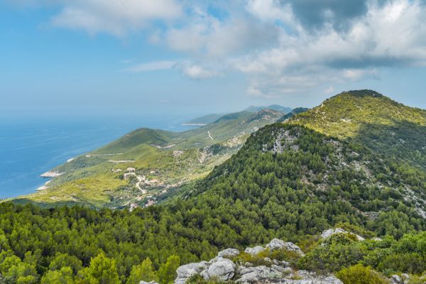 Mljet - Kroatiens hemmelige paradisø