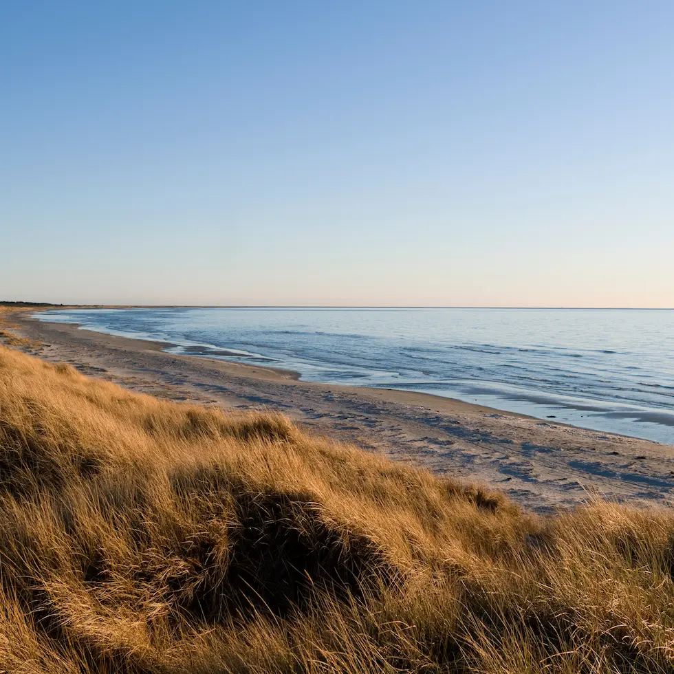 Ophold på Læsø AdobeStock_332287021