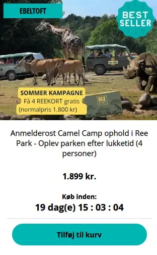 Amel-Amp-1