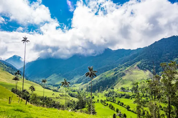 Cocora Valley - billige fly til Colombia
