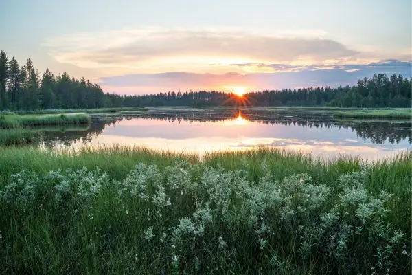 Sommerferie i Finland Sommerferie i Finland - Kuusamo