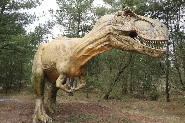 10 tips til din Staycation! Givskud Zoo