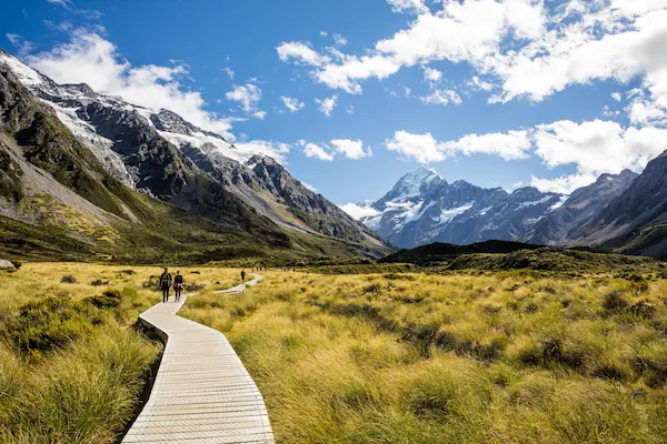 Billige fly til New Zealand