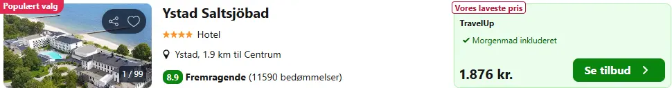 Skaermbillede-2025-07-03-122157ds