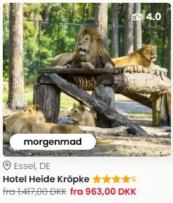 fejbwjfhebgwehjfbew