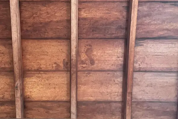 Hidden gems i Japan, Genko-an fodaftryk