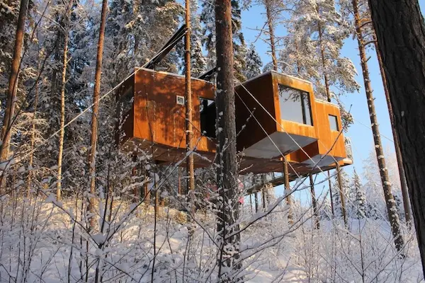 Ophold på Treehotel - unik overnatning i Nordsverige