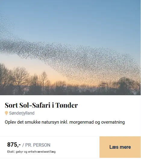 takeoffersortsol