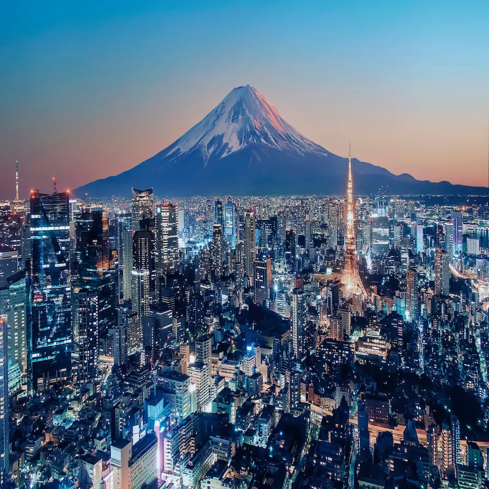 Rundrejse i Japan tokyo-fuji