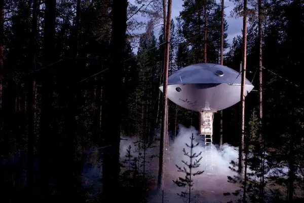Ophold på Treehotel - unik overnatning i Nordsverige