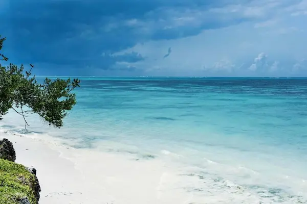 Rejse til Zanzibar - tropisk ferie på paradisø Rejse til Zanzibar - Hotel Marafiki Bungalows, strand