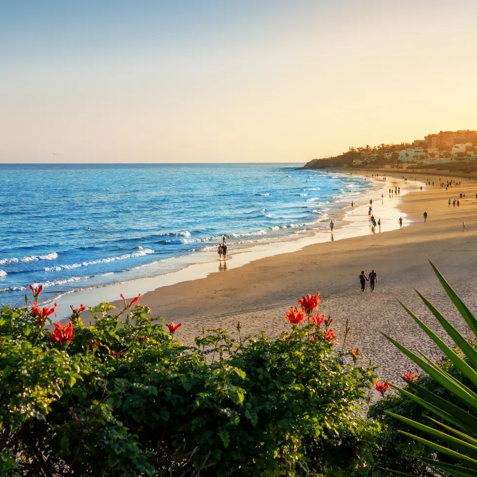 All inclusive på Fuerteventura AdobeStock_735495372