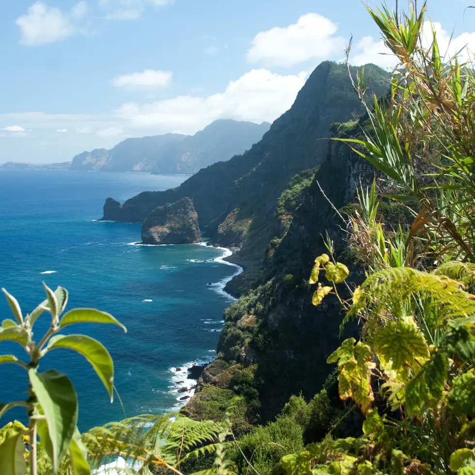 Bannerbillede-Madeira