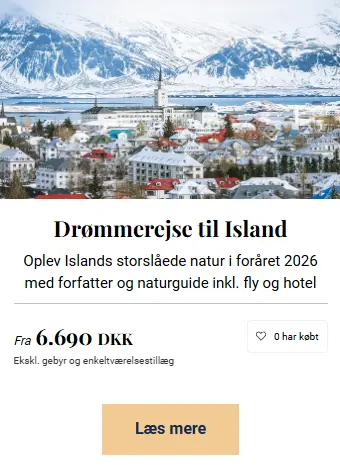 Skaermbillede-2025-09-08-125400