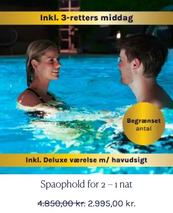 Skaermbillede-2025-09-22-124951-1