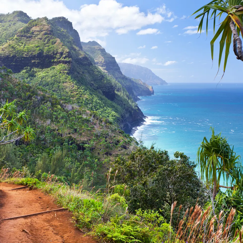 Billige fly til Hawaii: Flybilletter til Honolulu fra kun 4.390 kr. tur/retur inkl. bagage hawaii-banner