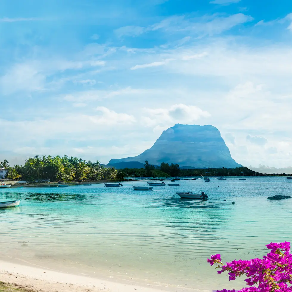 Rejse til Mauritius - paradisferie i Det Indiske Ocean AdobeStock_336897498