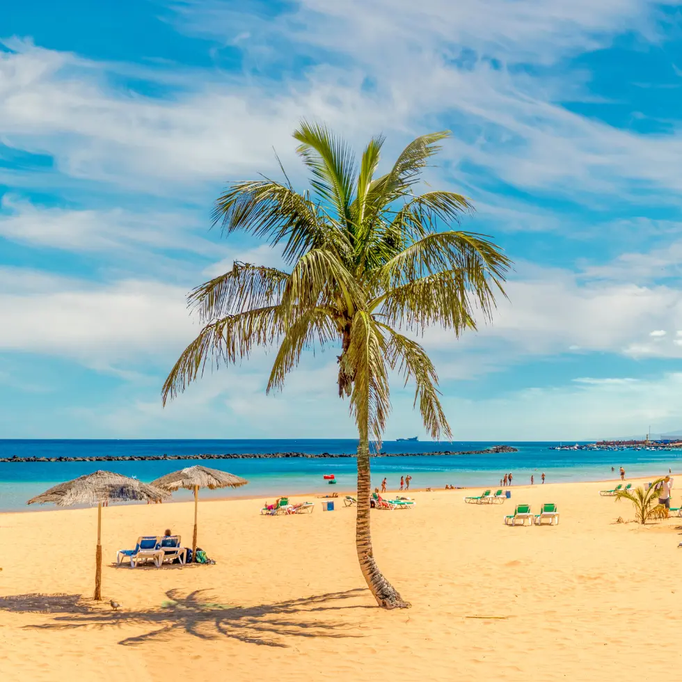 Billige rejser til Gran Canaria Bannerbillede-Billige-fly-til-de-Kanariske-oeer