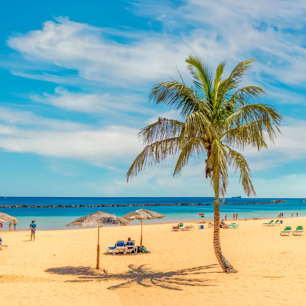Bannerbillede-Tenerife