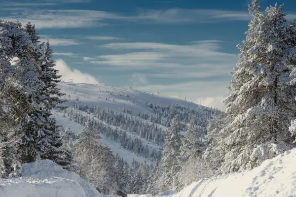 Billede - Skiferie i Sverige (1)