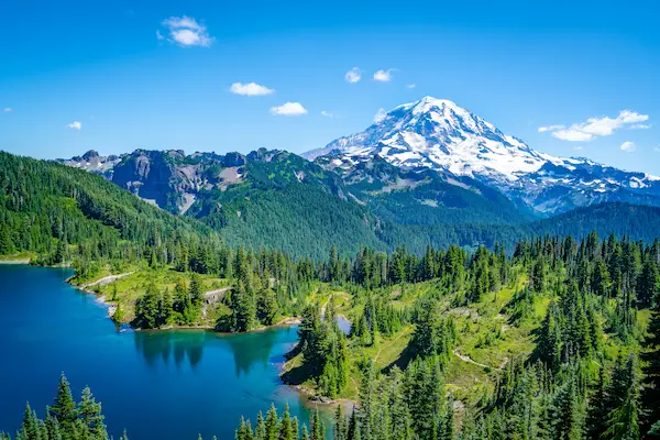 Rejse til Seattle - spækhugger-sæson i det nordvestlige USA Rejse til Seattle - spækhugger-sæson i det nordvestlige USA