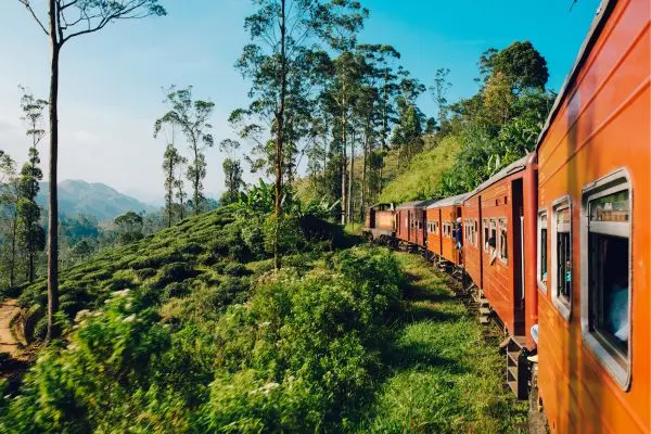 Sri Lanka rundrejse tog