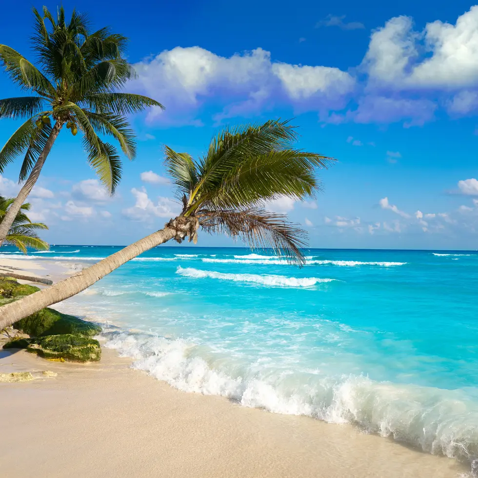 Bannerbillede-Playa-Del-Carmen