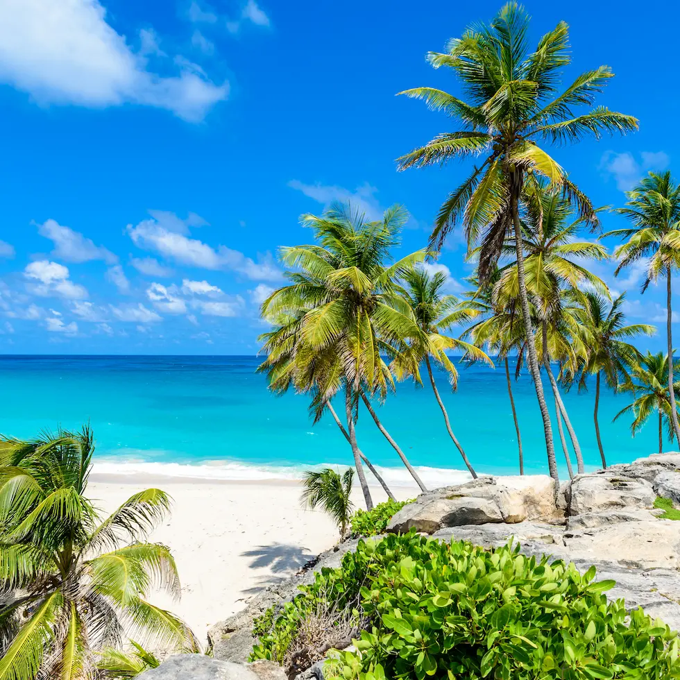 Bottom-Bay-Barbados-Caribien-banner-980-x-980