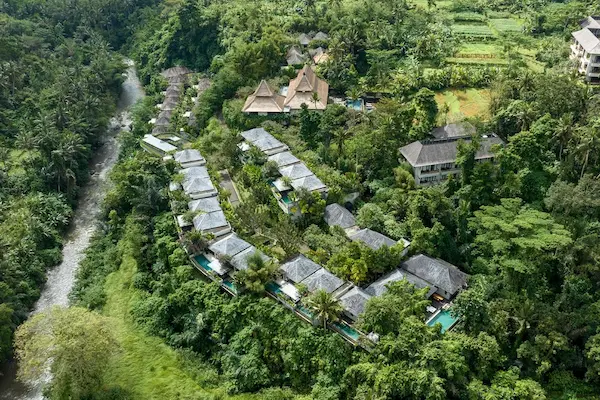 Luksusophold i Ubud på Bali Rejse til Ubud - hotellet ligger midt i junglen ved en hellig flod