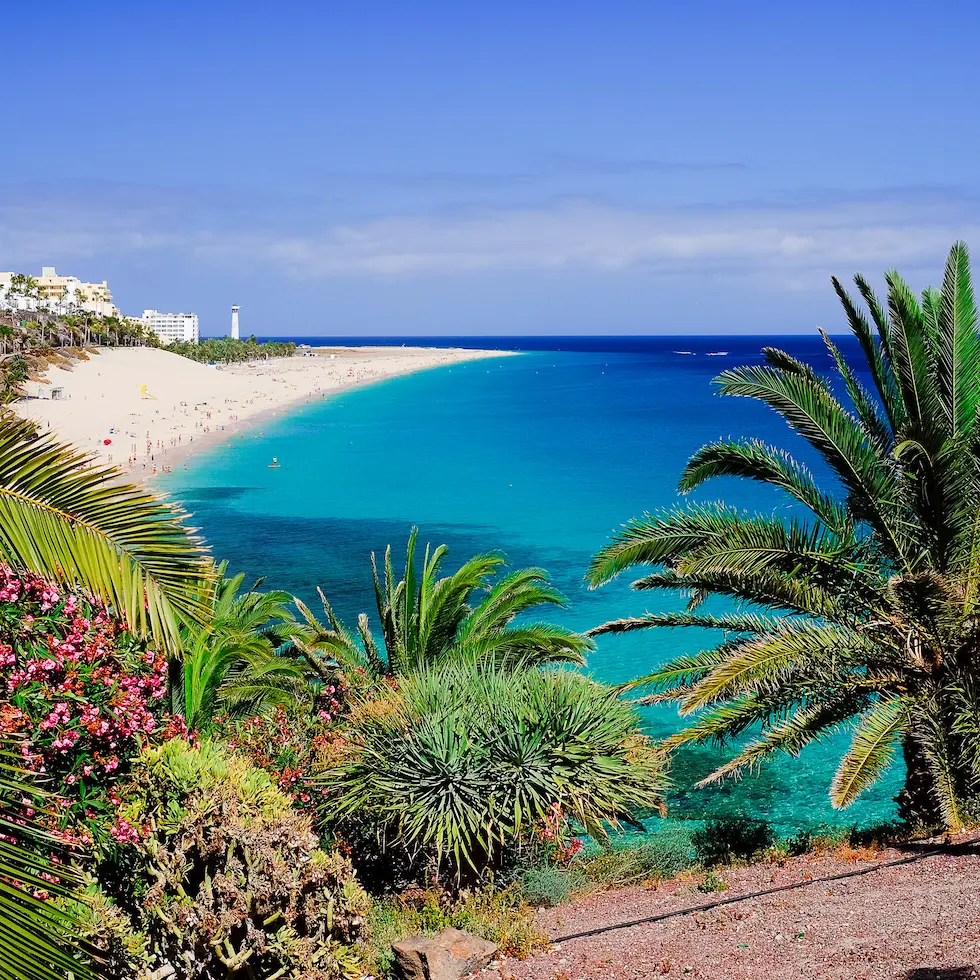 Playa-de-Morro-Jable-Fuerteventura-De-Kanariske-Oeer-Spanien-banner-980-x-980
