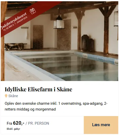 Skaermbillede-2025-11-18-133947