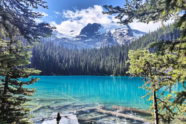 Joffre Lakes, Rejse til Banff National Park