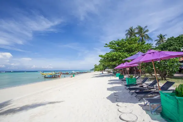 Rejse til Koh Phi Phi - sandstrand med solsenge og parasoller