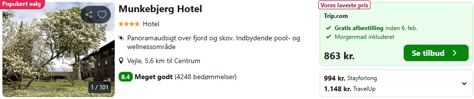 Skaermbillede-2025-12-19-133533