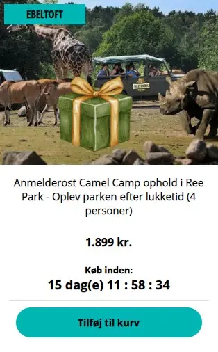 efwojfwkiejbwjhfebvwjehfvwjhefvwe