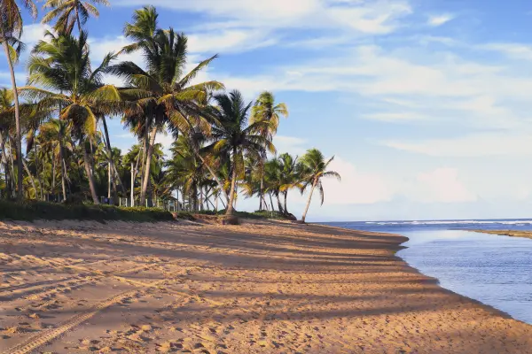 Strandferie i Brasilien, Praia do Forte, Salvador, Brasilienn