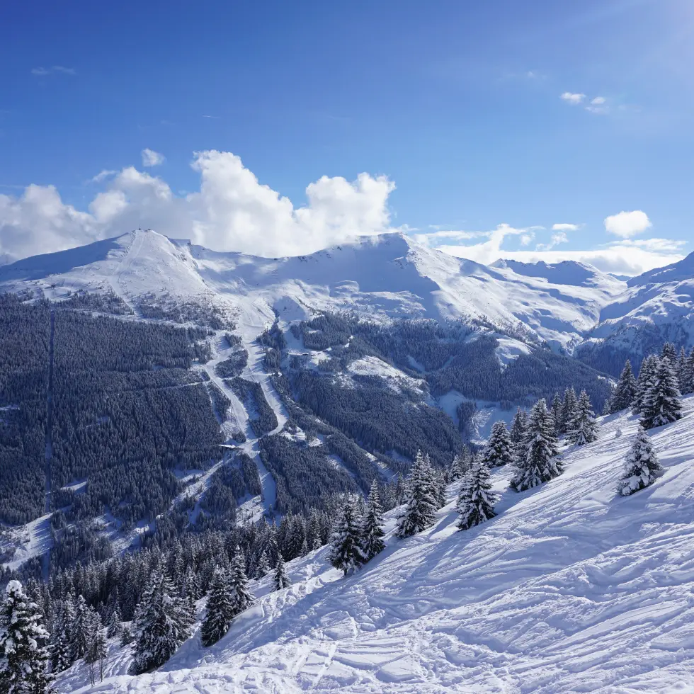 Bannerbillede-Bad-Gastein-Oestrig