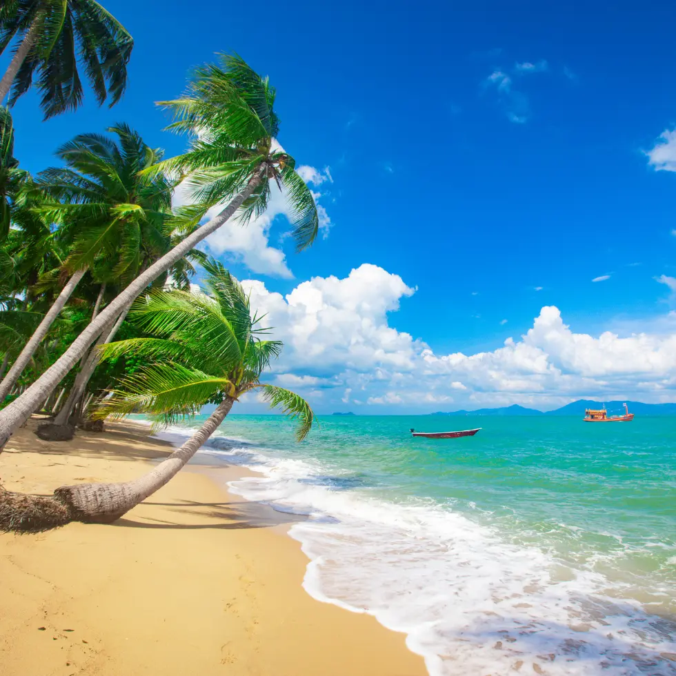 Bannerbillede-Koh-Samui