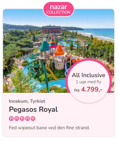 Skaermbillede-2026-01-14-110622